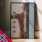 Vertebral Subluxation Complex