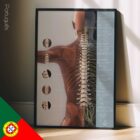 Vertebral Subluxation Complex