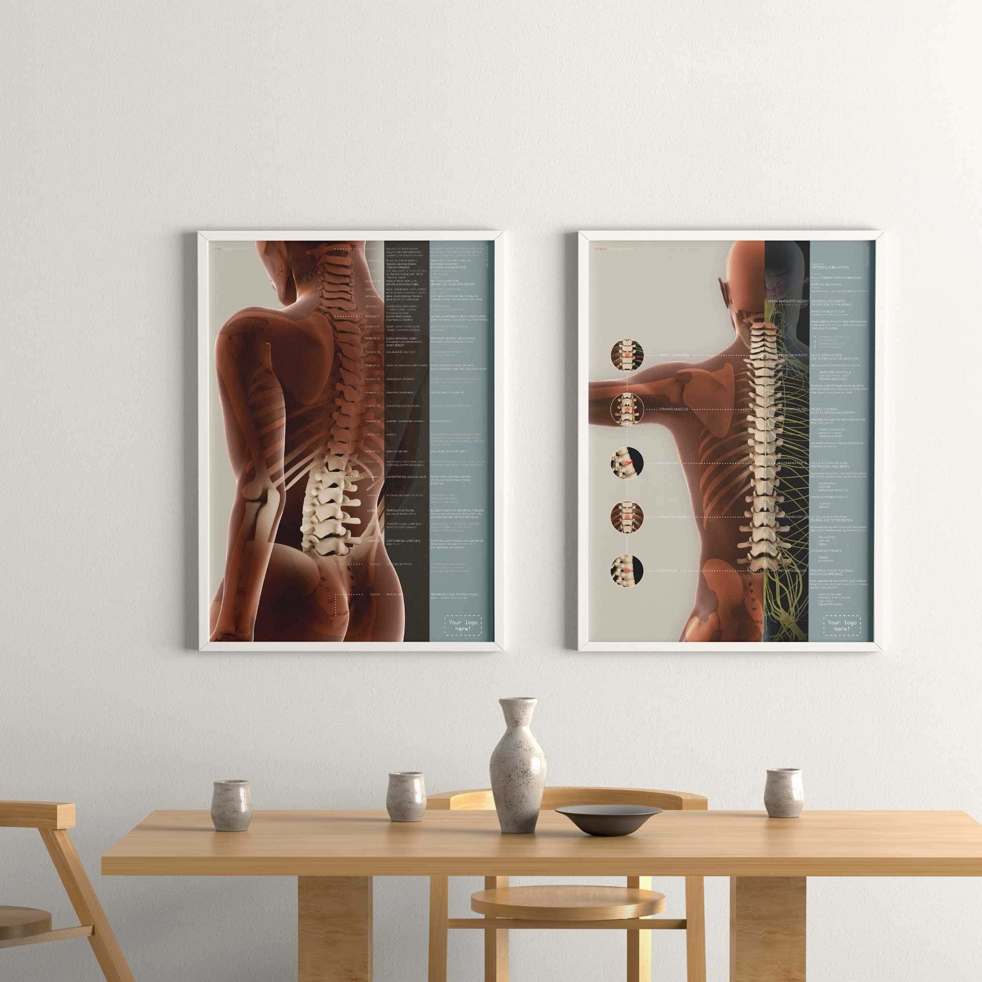 Spinal Subluxation Effects and Vertebral Subluxation Complex