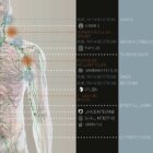 Lymphatic System anatomy chart for clinics