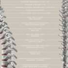 Spinal Nerves Function anatomy chart for clinics Spinal Nerves Function anatomy chart for clinics