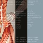 Nutritional Energy Reflex Points (NERP) anatomy chart for clinics