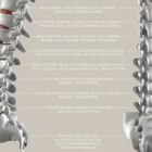 Spinal Nerves Function anatomy chart for clinics Spinal Nerves Function anatomy chart for clinics
