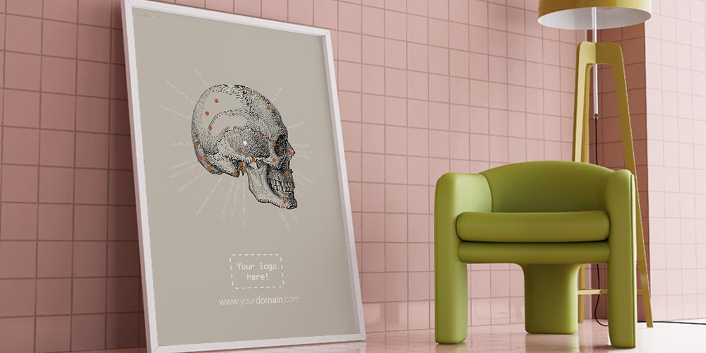 Les os crâniens latéraux