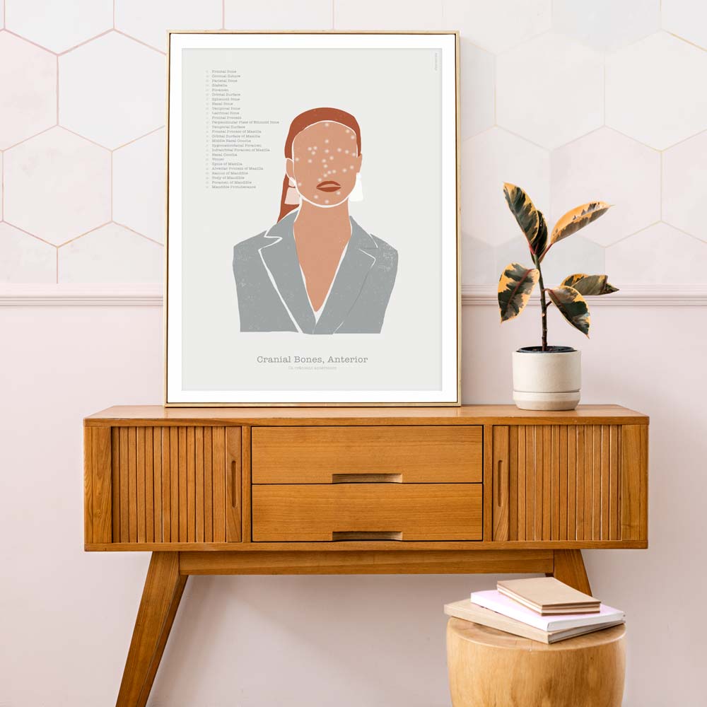 Abstract Anterior Cranial Bones