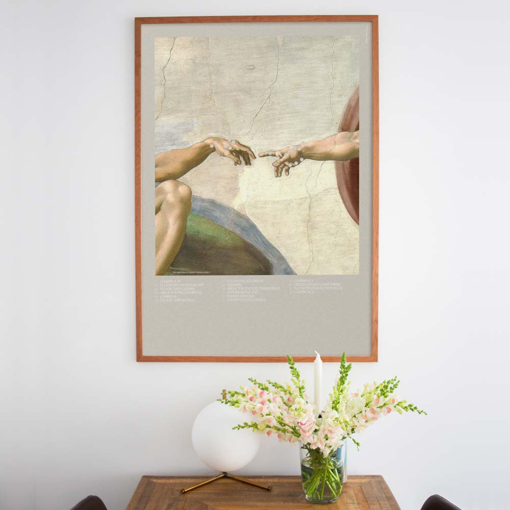 Création d'Adam et anatomie de la main