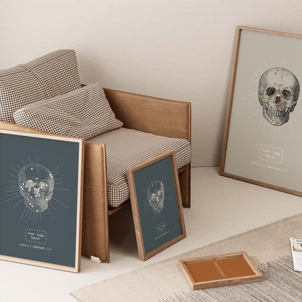 Vintage Anatomie des os crâniens antérieurs