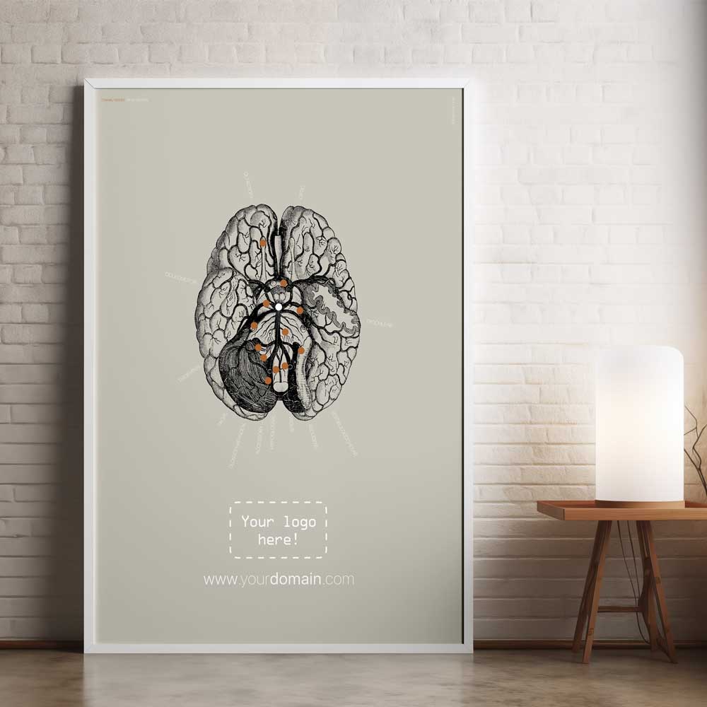 cranial nerves cross main – Premium Anatomy Chart by educare.design