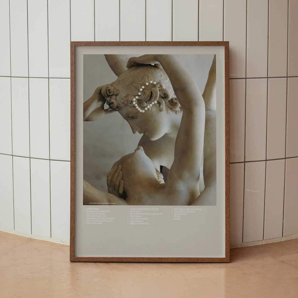 Cupid’s Kiss & TS Line