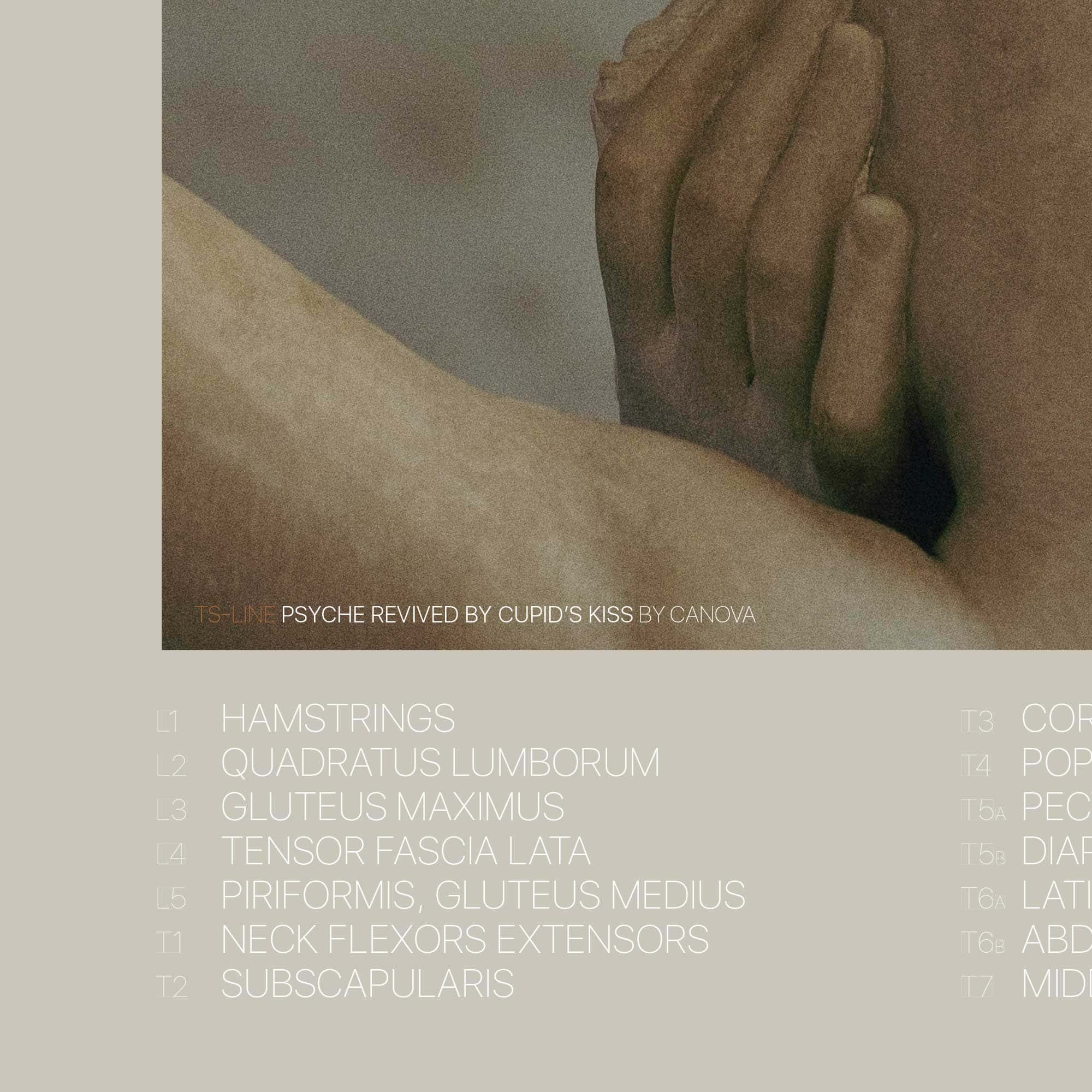 Cupid’s Kiss & TS Line