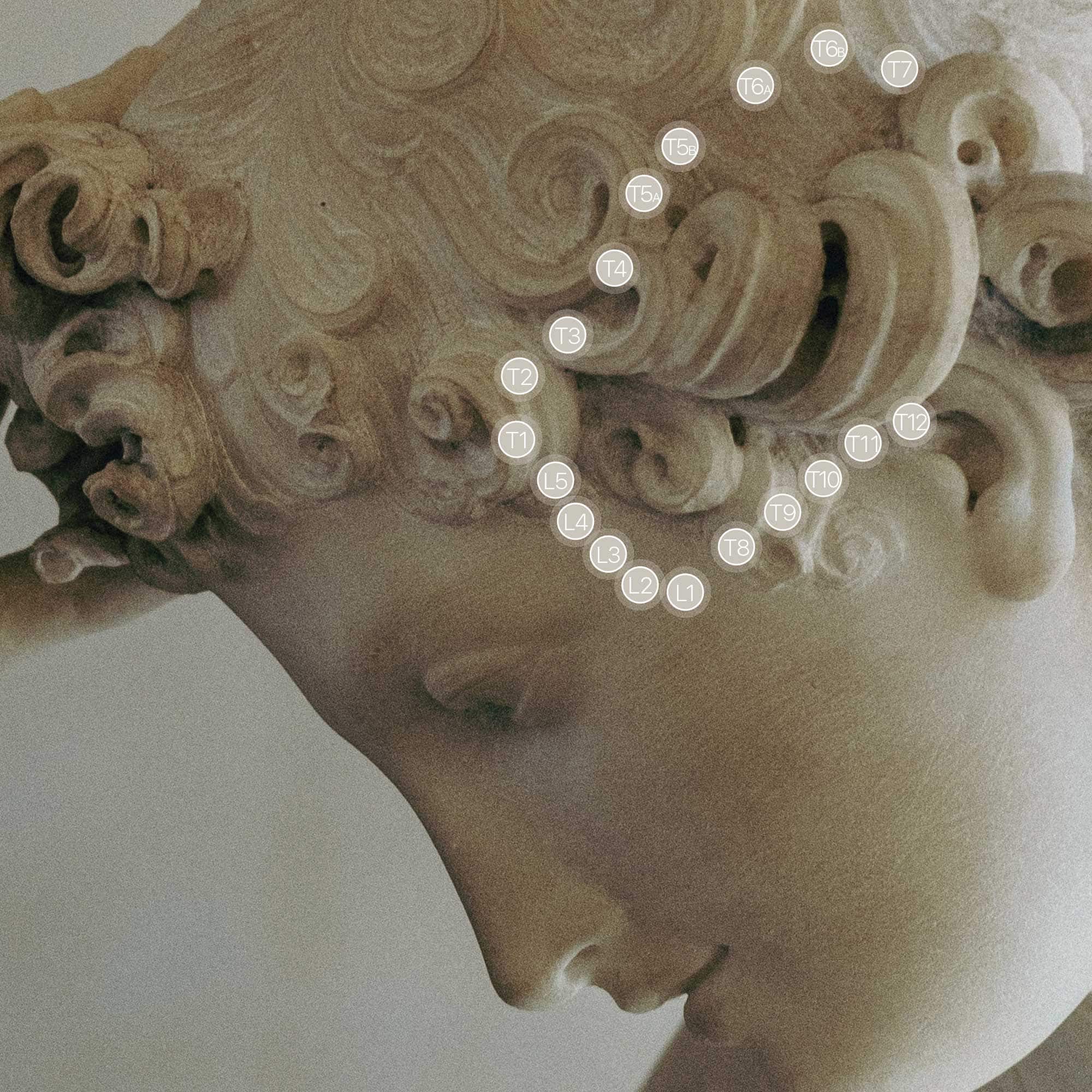 Cupid’s Kiss & TS Line