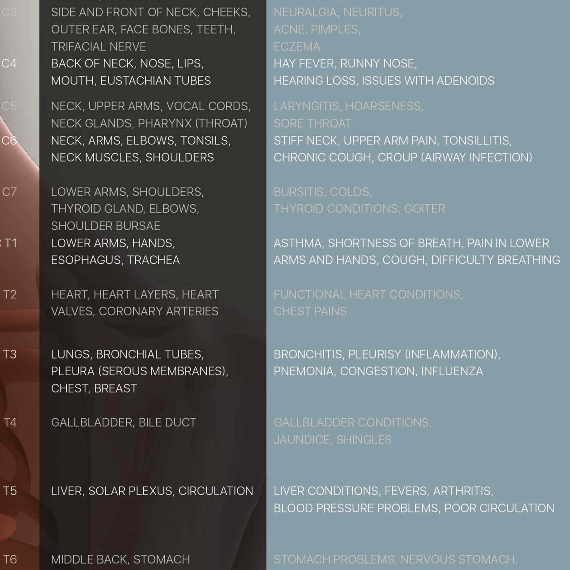 Spinal Subluxation Effects