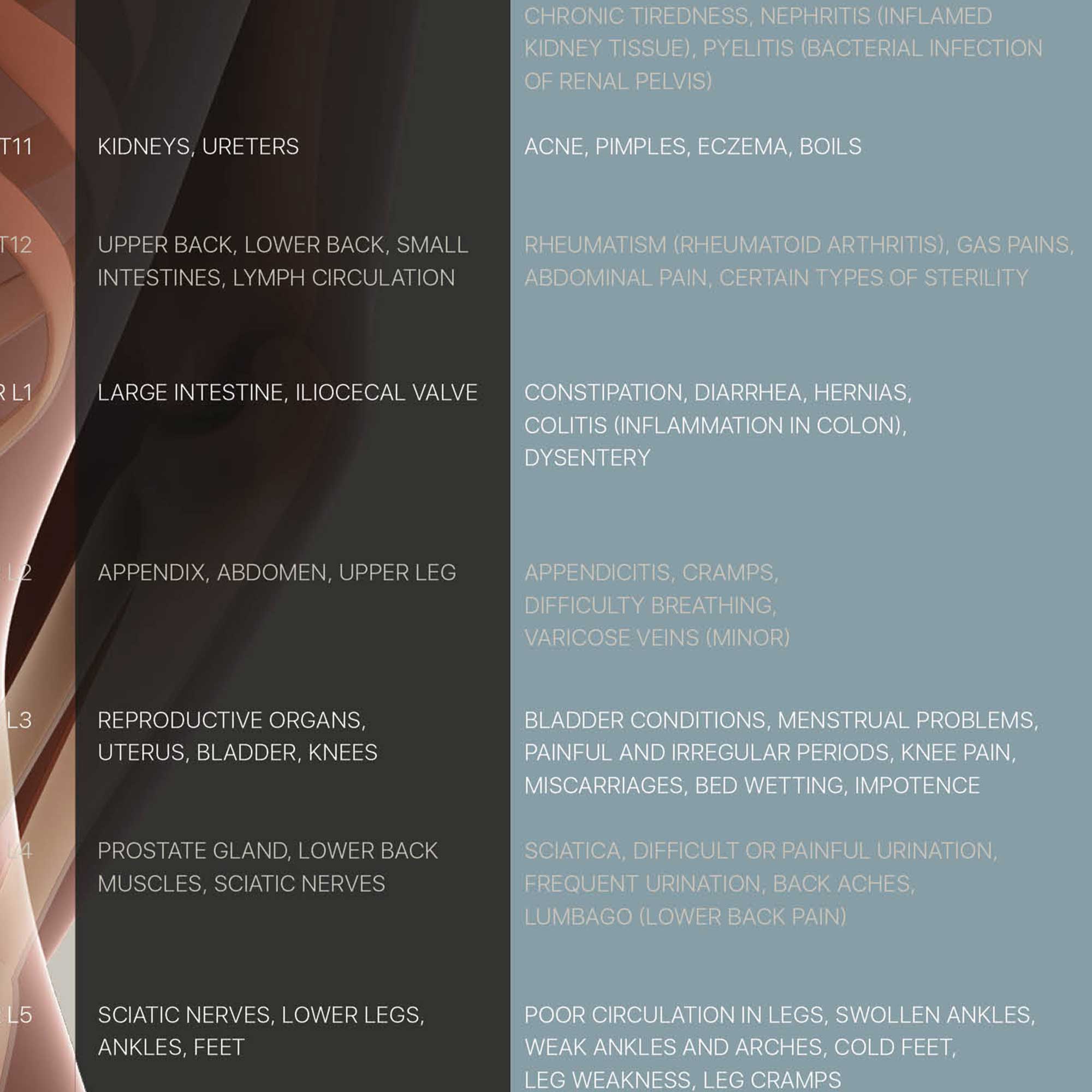 Spinal Subluxation Effects