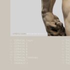 Hercules & Vertebral Column