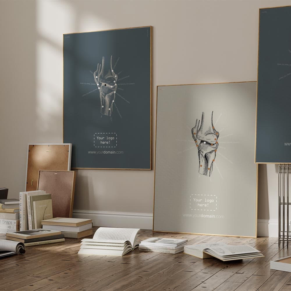 knee lateral main – Premium Anatomy Chart by educare.design