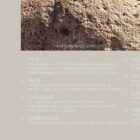 Little Mermaid & Injuries and Ailments