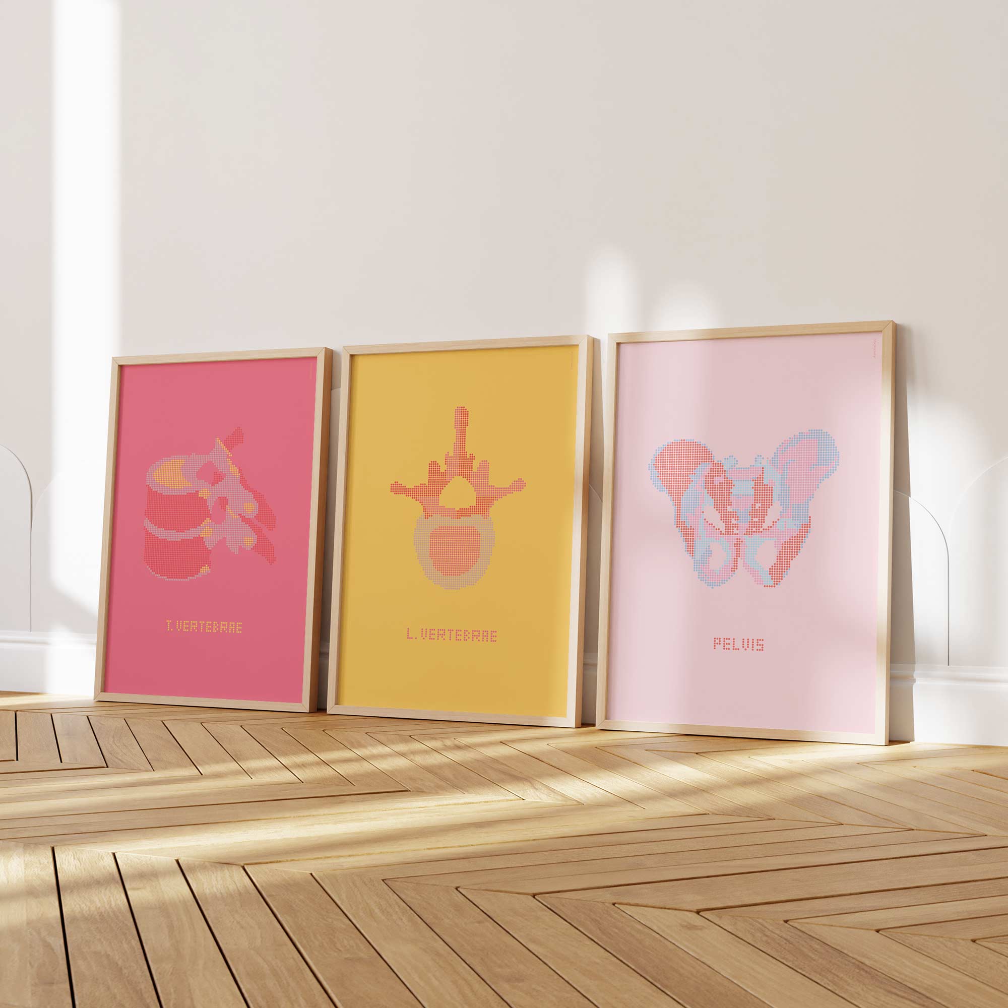 Pop Art des Vertèbres Thoraciques