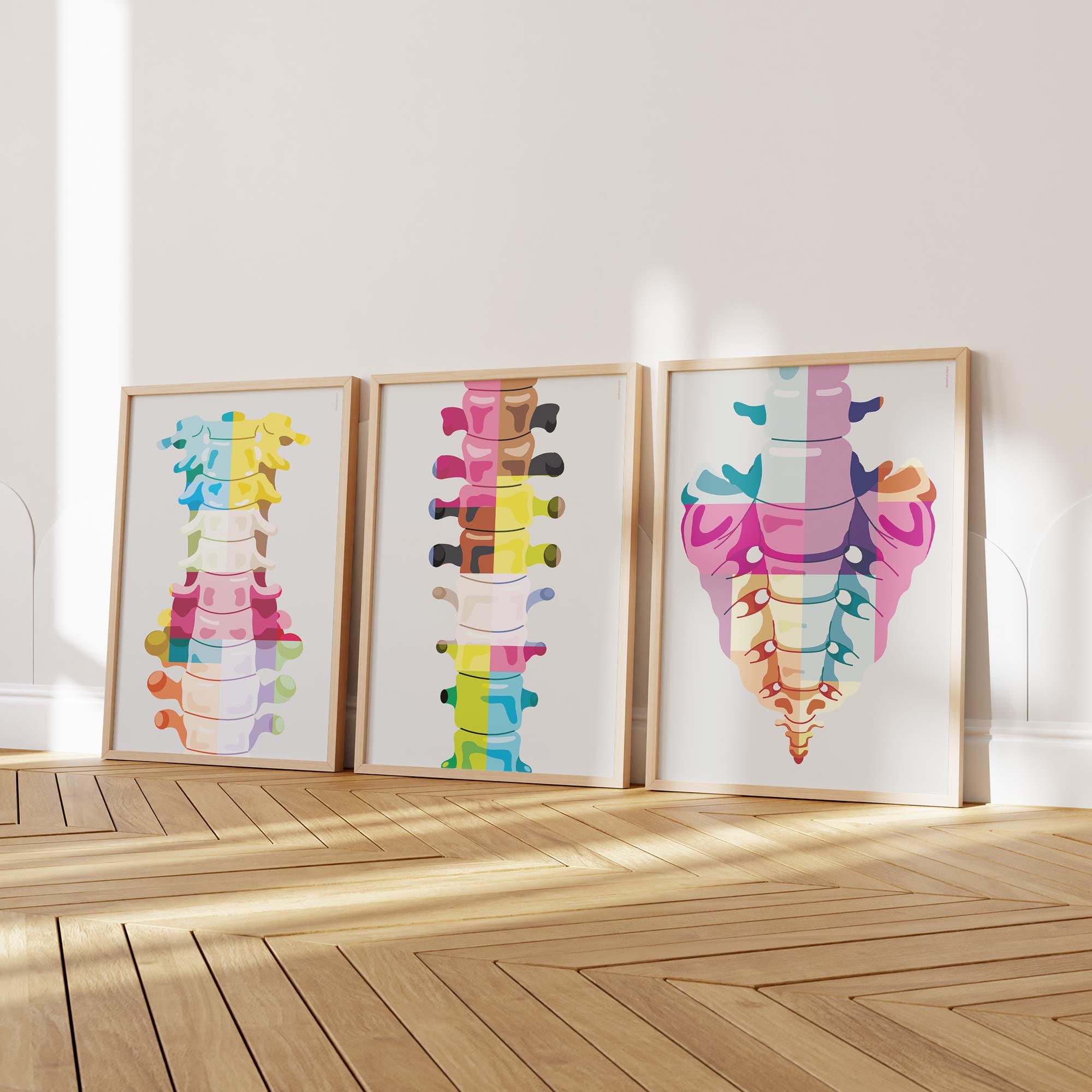 Anatomie Pop Art : www.educare.design