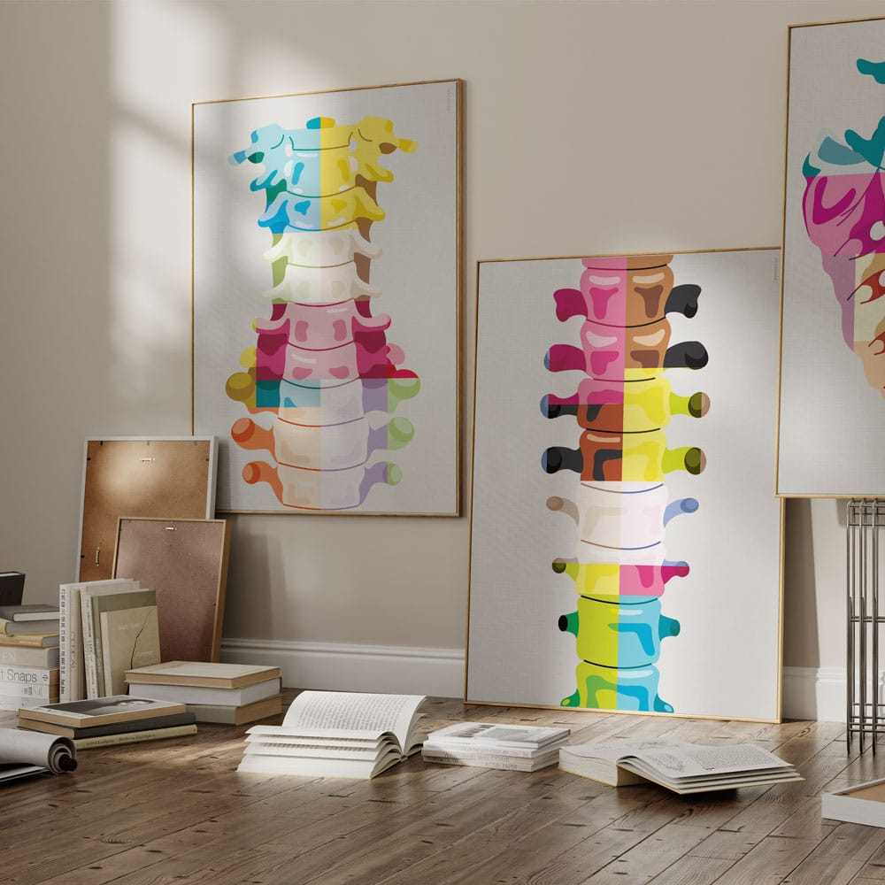 Anatomie Pop Art : www.educare.design