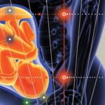 Grossesse et Changements Posturaux