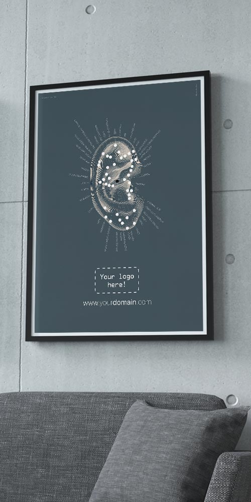 Vintage Reflexology Chart Ear