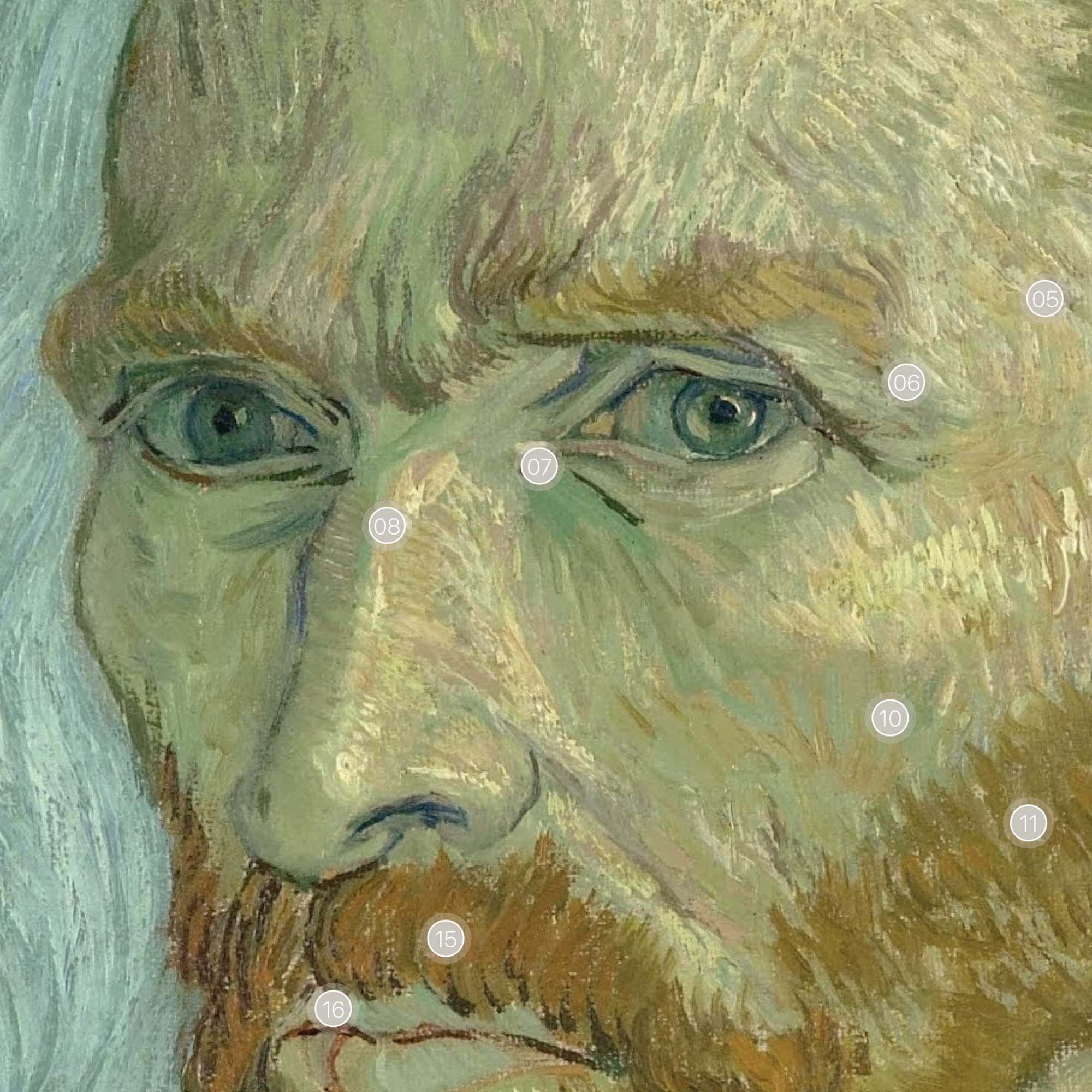 Van Gogh & Lateral Cranial Bones