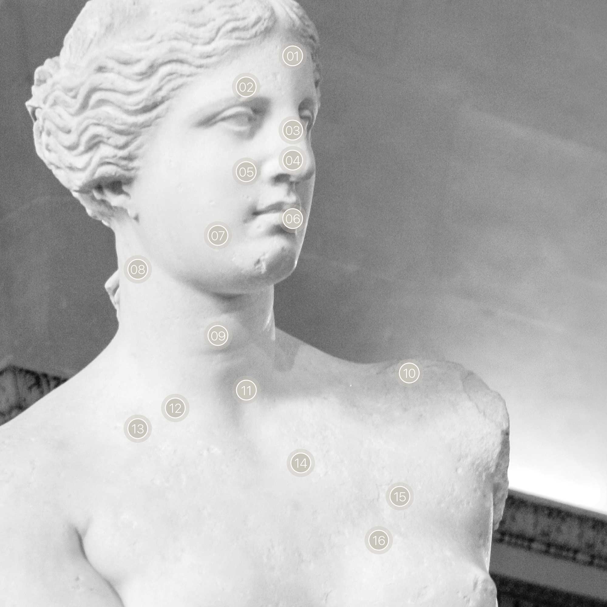 Venus & Nutritional Energy Reflex Points