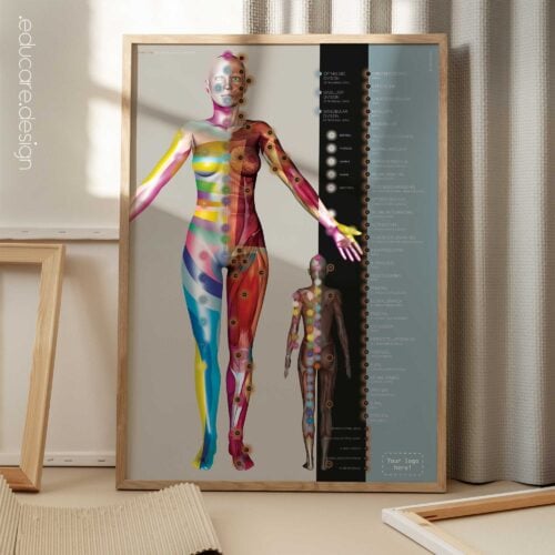 Myofascial Trigger Points Set anatomy chart for clinics Myofascial Trigger Points Set anatomy chart for clinics