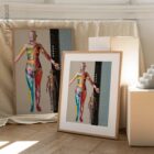 Dermatomes and Cutaneous Nerve Innervation – educare.design Dermatomes and Cutaneous Nerve Innervation