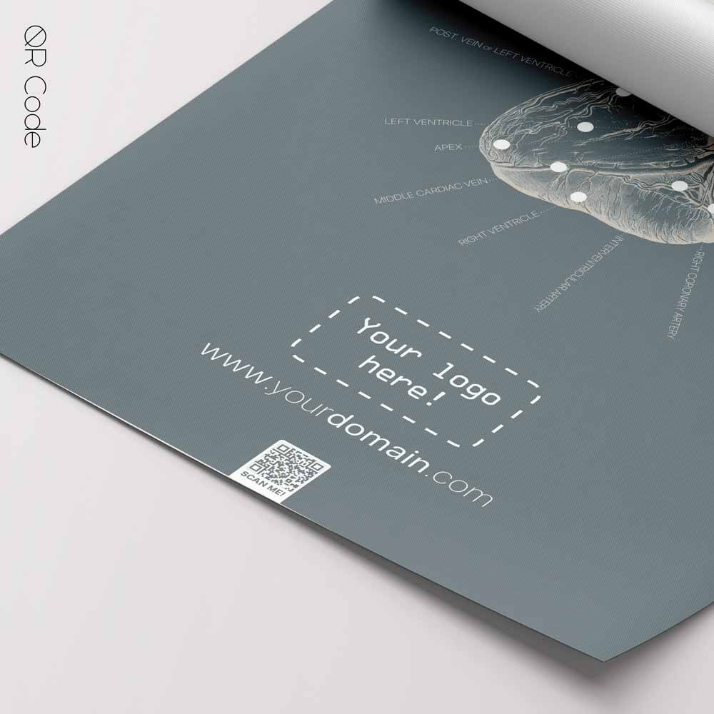 Heart Posterior Surface QR Code