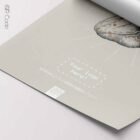 Heart Posterior Surface QR Code