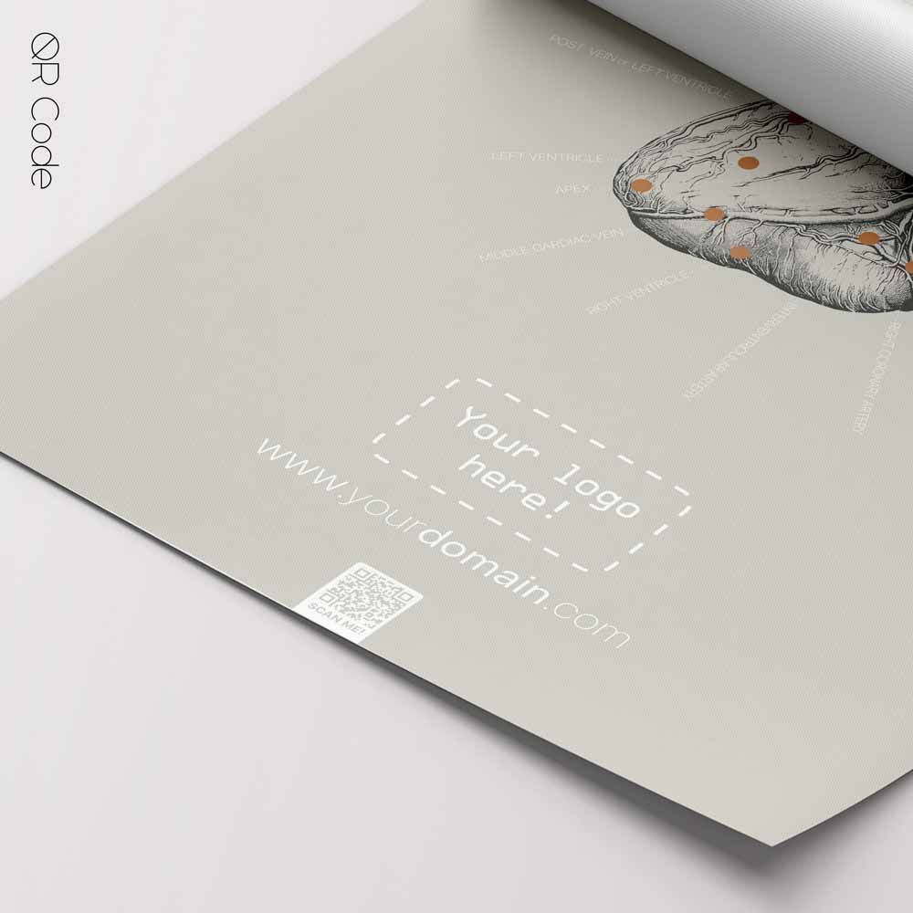 Heart Posterior Surface QR Code