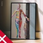 Dermatomes and Cutaneous Nerve Innervation – educare.design Dermatomes and Cutaneous Nerve Innervation