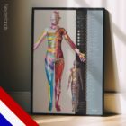 Dermatomes and Cutaneous Nerve Innervation – educare.design Dermatomen