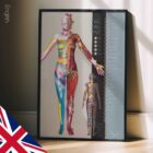 Dermatomes and Cutaneous Nerve Innervation – educare.design Dermatomes and Cutaneous Nerve Innervation