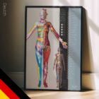 Dermatomes and Cutaneous Nerve Innervation – educare.design Dermatome und Innervation der Hautnerven