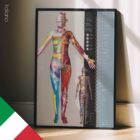 Dermatomes and Cutaneous Nerve Innervation – educare.design Dermatomes and Cutaneous Nerve Innervation