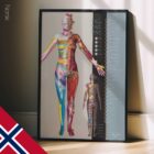 Dermatomes and Cutaneous Nerve Innervation – educare.design Dermatomes and Cutaneous Nerve Innervation