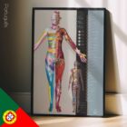 Dermatomes and Cutaneous Nerve Innervation – educare.design Dermatomes and Cutaneous Nerve Innervation