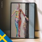 Dermatomes and Cutaneous Nerve Innervation – educare.design Dermatomes and Cutaneous Nerve Innervation