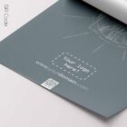 Kinesiology Muscle Testing — Anatomy Chart