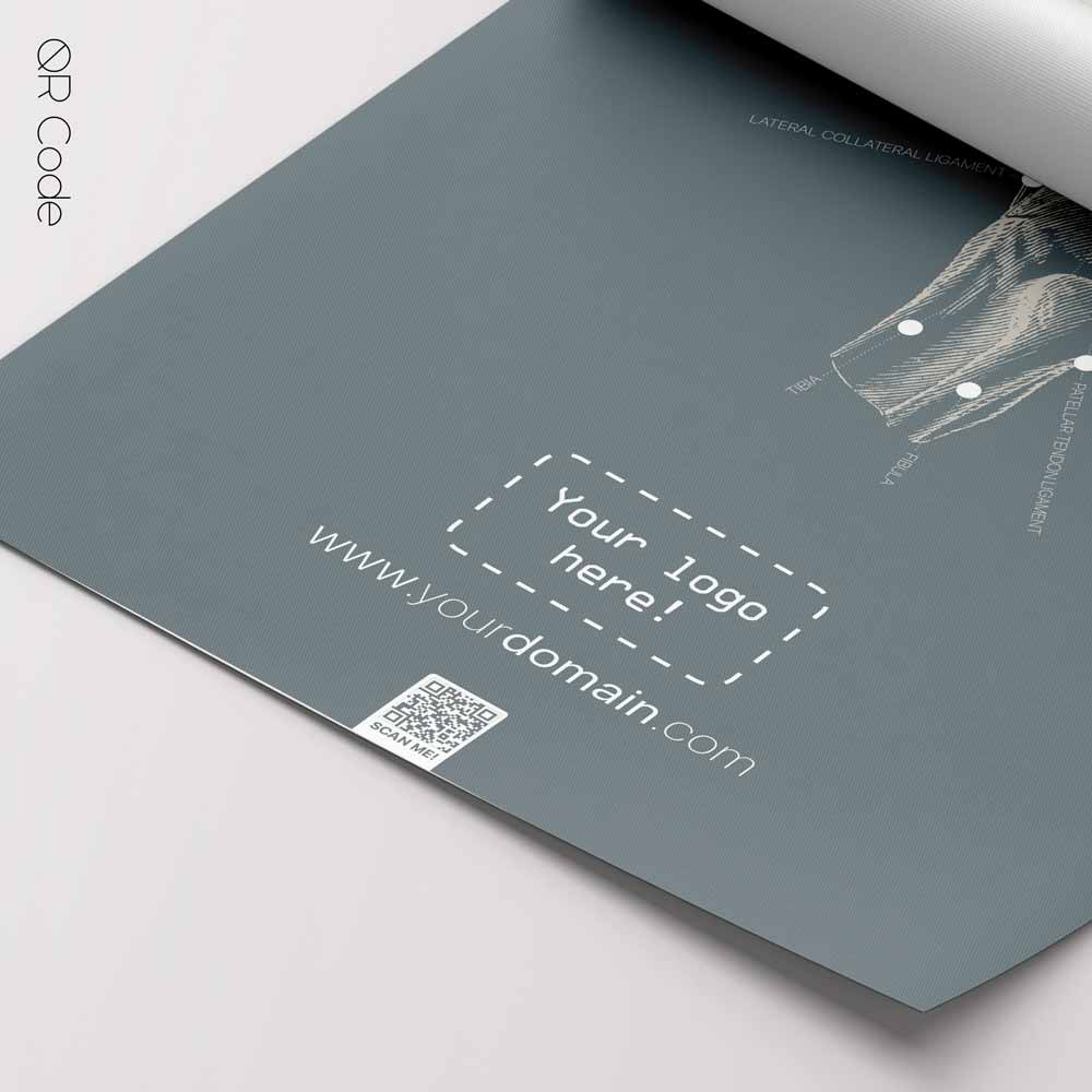 Knee Anatomy, Lateral — Planche anatomique