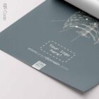 Rib Cage, Anterior — Tavola anatomica