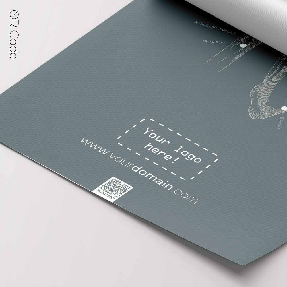 Shoulder Anatomy, Frontal — Anatomy Chart