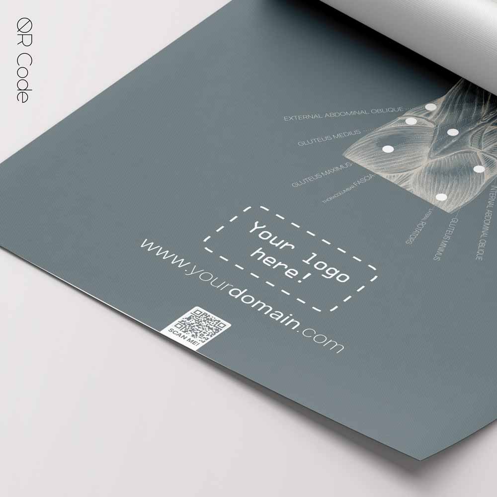 Back Muscles Anatomy — Anatomy Chart