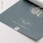 Cranial Nerves, Cross Section — Tavola anatomica