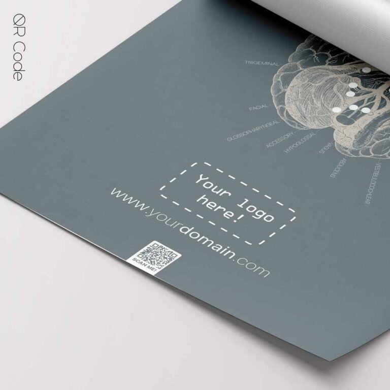 10 blue cranial nerves cross section QR – Premium Anatomy Chart by educare.design