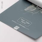 Temporal Sphenoid, TS-Line — Tavola anatomica