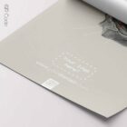 Eye Anatomy, Lateral Surface — Tavola anatomica