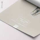 Knee Anatomy, Lateral — Planche anatomique